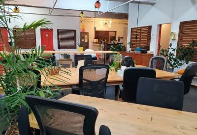Spacious open-plan coworking area at 1120, Washington Avenue with wooden desks, black chairs, and potted plants.