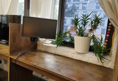 Individual workstation featuring a wooden desk, monitor, and a potted aloe plant by a window.
