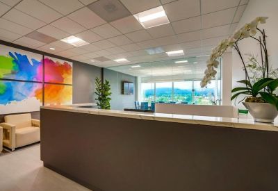 Modern reception desk with a vibrant multi-colored feature wall and potted orchids.