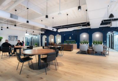 Vibrant reception area with a dark blue feature wall, wooden flooring, and comfortable lounge seating.