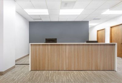 Modern reception area featuring a light wood front desk and neutral grey accent wall.