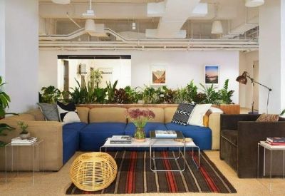 Spacious communal lounge with a large blue sectional sofa, area rug, and numerous potted plants.