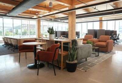 Modern lounge area with warm wood ceilings, plush seating, and indoor plants.