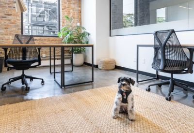 Offices at 1720 W Division St