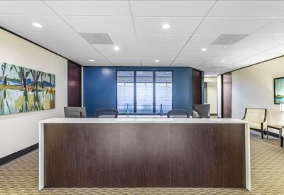 Professional reception area with a dark wood front desk and blue feature wall.