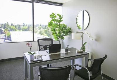 Bright private office featuring a large window with greenery and a leafy potted plant.
