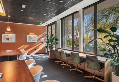 Quiet work area with burnt orange walls and large windows with garden views.