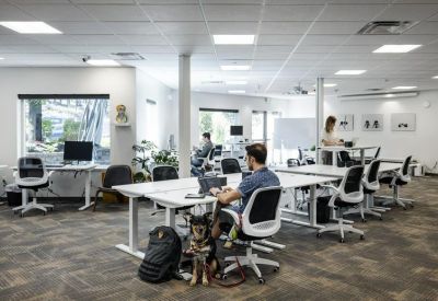Bright open-plan coworking area with white desks, ergonomic chairs, and large windows.