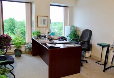 Executive corner office with a dark wood desk and lush green indoor plants.