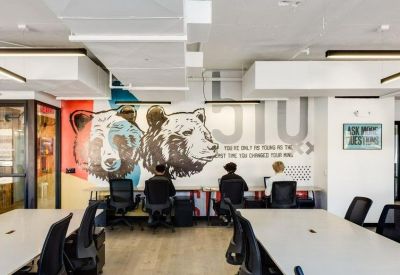 Modern workspace featuring a large artistic wall mural of two bears and several workstations with ergonomic chairs.
