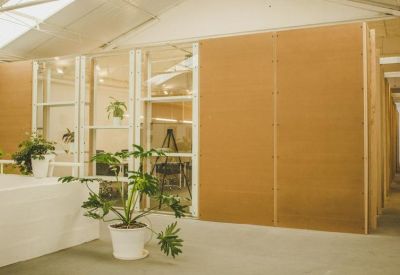 Minimalist office entrance featuring large potted plants and warm wood-paneled walls.