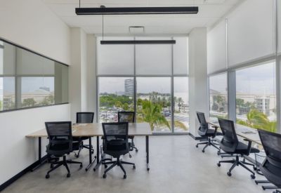 Bright corner office with multiple workstations and floor-to-ceiling windows showing palm trees.