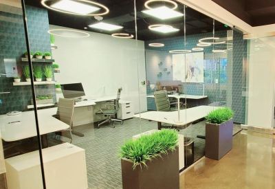 Glass-walled office space featuring white desks, ergonomic chairs, and vibrant green potted plants.