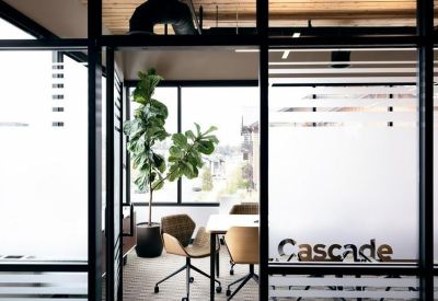 Bright conference room with a large window and a fiddle leaf fig plant.