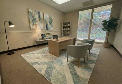 Spacious private office featuring a wooden desk, geometric rug, potted plant, and abstract art.