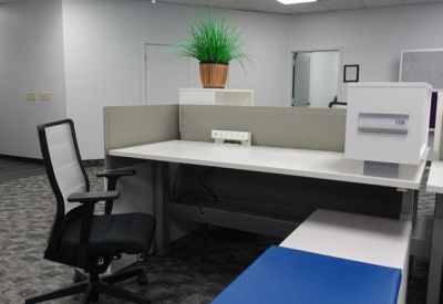 Workspace cubicle with a grey partition, ergonomic chair, and a bright green plant.