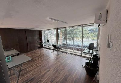 Modern open workspace with wood floors and large windows overlooking greenery.