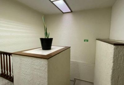 Modern stairwell with white textured walls and a built-in planter box.