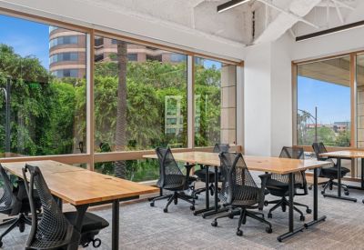 Open-plan office with light wood desks, black ergonomic chairs, and large windows overlooking trees.
