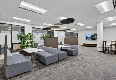 Collaborative lounge area with plush booths and acoustic ceiling baffles.