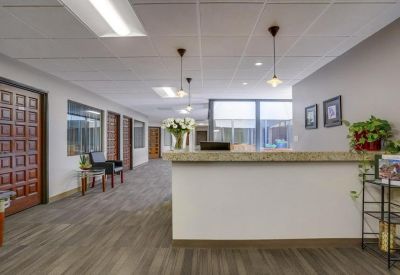 Reception desk area with light wood flooring and decorative plants.