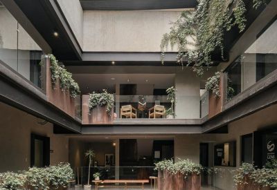 Multi-level atrium at 403, Puebla with wooden flooring and lush hanging greenery.