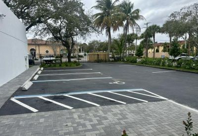 Outdoor asphalt parking lot with white painted spaces and surrounding palm trees.