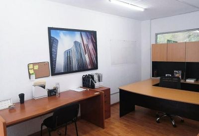 Private office featuring two wooden desks, a large city skyline wall mural, and natural light.