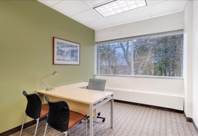 Private office with L-shaped desk and olive green feature wall.