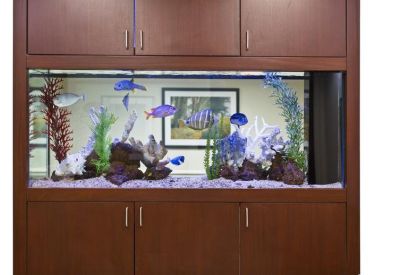 Executive suite - White Plains