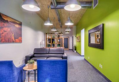 Contemporary lounge with a lime green feature wall and dark leather seating.