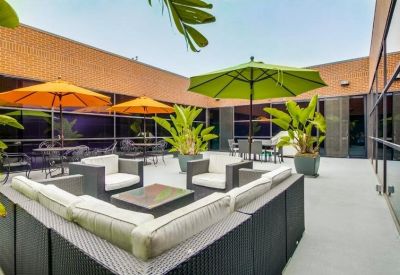 Sunlit outdoor patio with lounge seating, umbrellas, and potted tropical plants.
