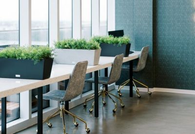 Bright window-side workspace with long communal desks and integrated plant boxes.