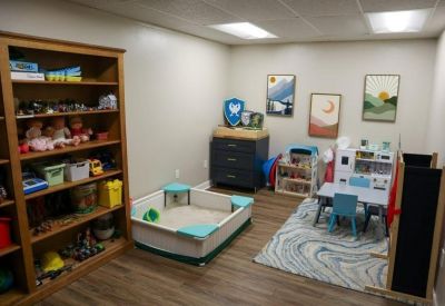 Children's play room with a large wooden toy shelf, a ball pit, and colorful wall art.