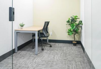 Compact private office featuring a modern desk, ergonomic chair, and a potted plant.