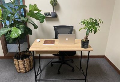 Bright workspace with a light wood desk, office chair, and leafy potted plants.