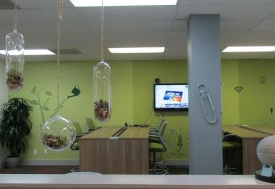 View across a reception counter towards a green-walled lounge with plants.