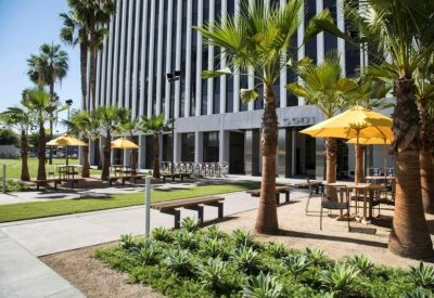 Outdoor patio area with palm trees and yellow umbrellas.