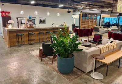 Spacious communal lounge and kitchen area with a large plant, bar seating, and modern furniture.