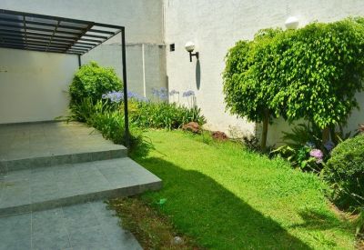 Sunlit outdoor patio with a green lawn, manicured bushes, and stone steps.