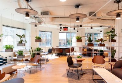 Spacious communal lounge with modern seating, wooden floors, and white grid shelving with plants.