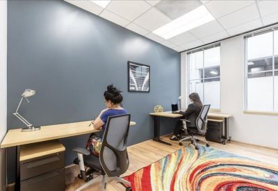 Private two-person office with grey feature wall and colorful abstract rug.