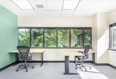 Spacious two-person office with a green feature wall and large windows overlooking trees.