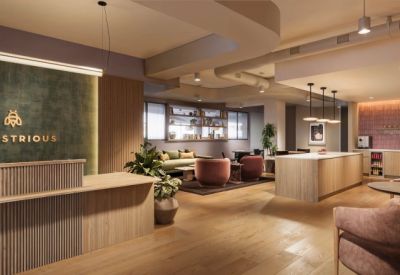 Modern reception area with slatted wood desk and green feature wall.