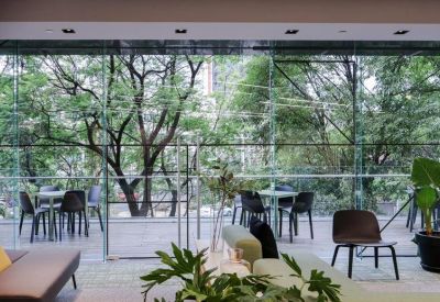 Sunlit lounge area with potted plants and views of lush green trees through glass walls.
