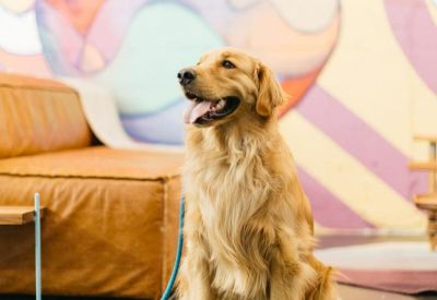 Mexico City executive office centre