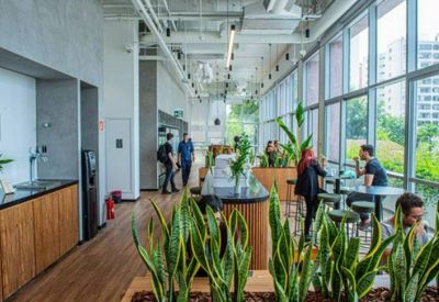 Communal kitchen area with plants and natural light.