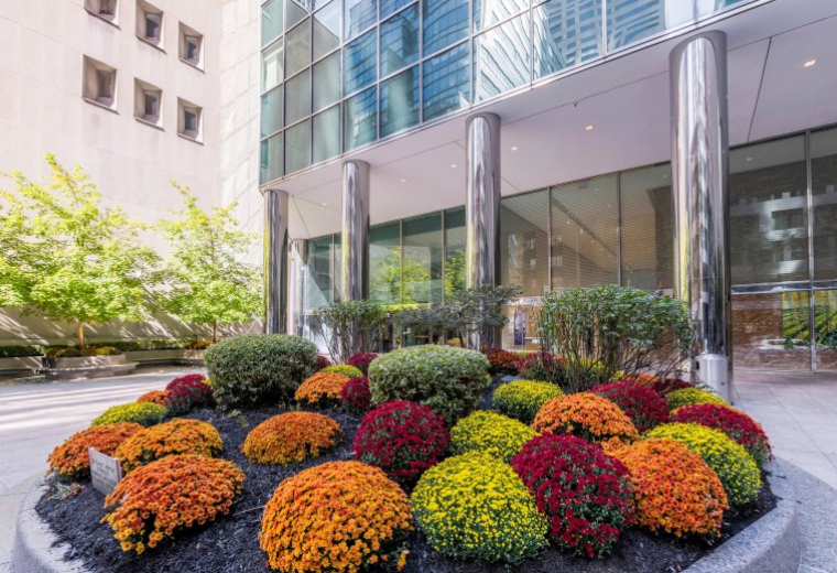Exterior entrance of Tower 49 at 12 E 49th St featuring polished columns and vibrant flower beds.
