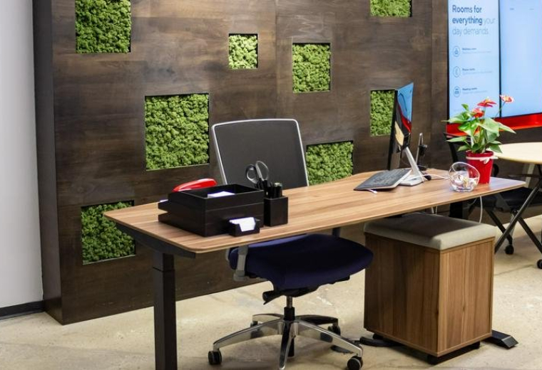 1660 Soldiers Field Road, Brighton, Massachusetts