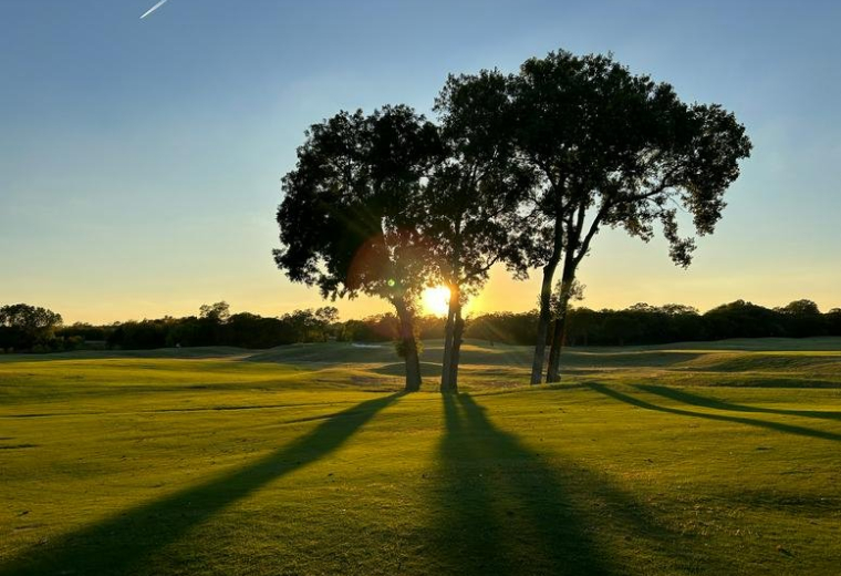 Exterior view of 24405 Wilderness Oak